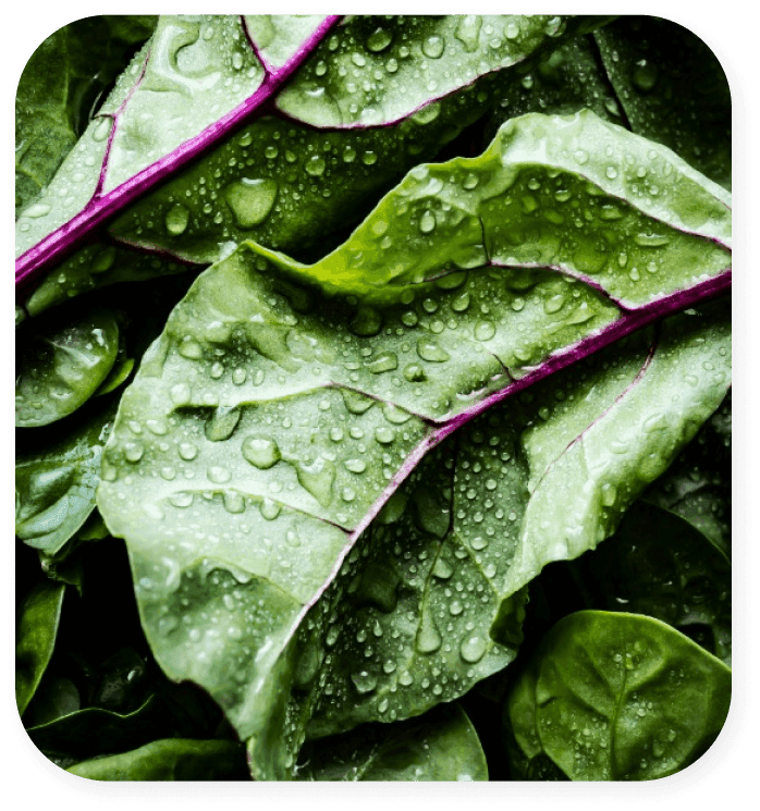 Nutrition